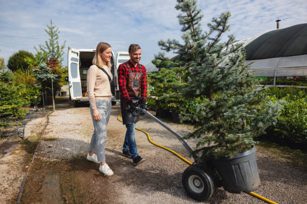 Best Emergency Tree Service  in Lake Caroline, VA